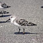 article image -